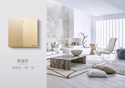 正泰開(kāi)關(guān)大板開(kāi)關(guān)