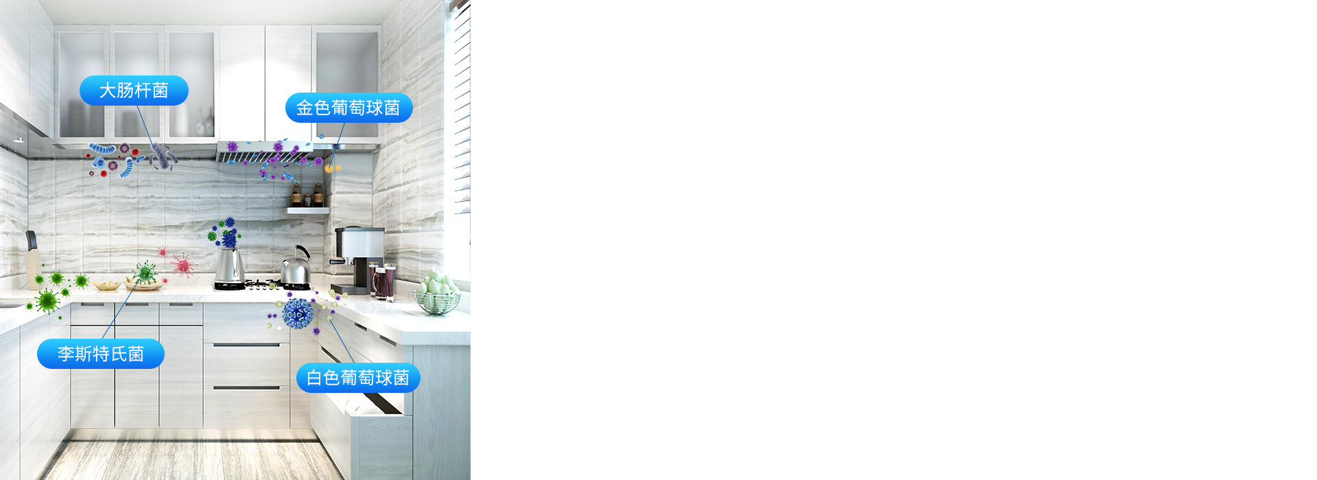 注意！廚房、衛浴間，
 很容易滋生細菌！...