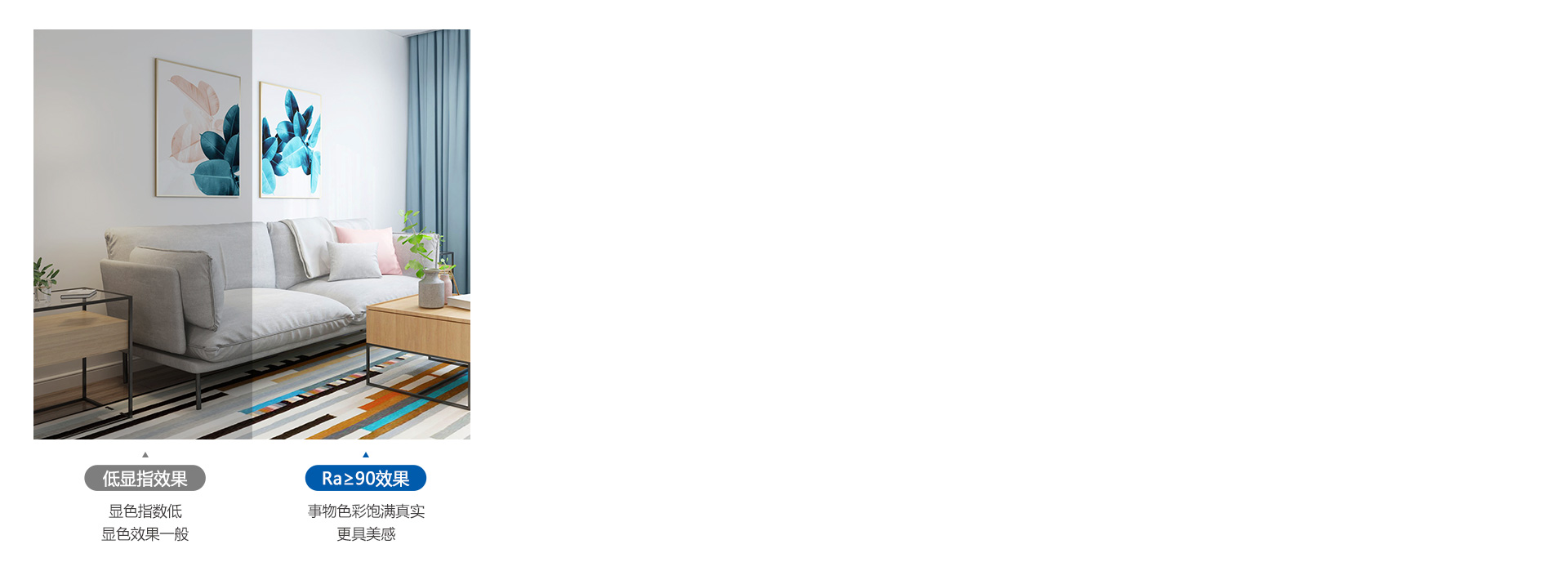Ra≥90高顯指，事物之美真實顯露
 光...